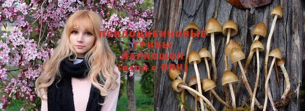 а пвп мука Волоколамск