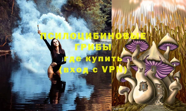 прущие грибы Володарск