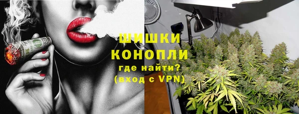 прущие грибы Володарск